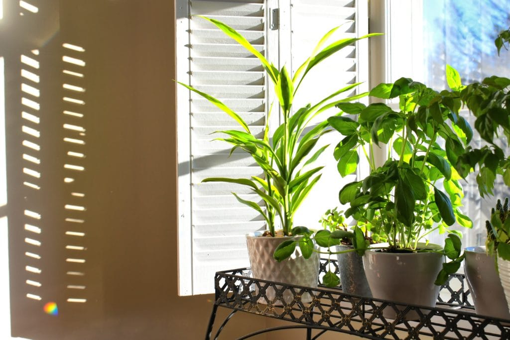 All About Interior Shutters